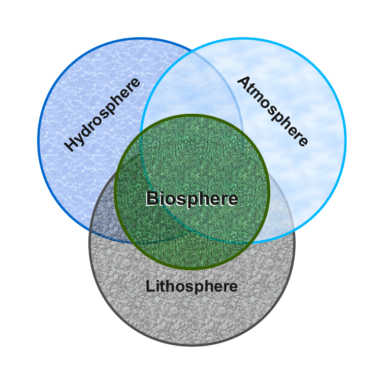 Image biosphere
