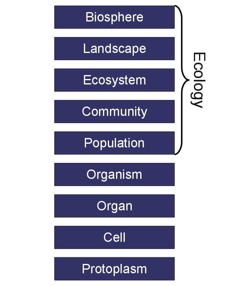 Image organization_levels