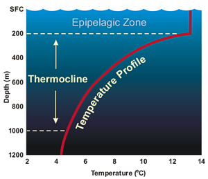 Image thermocline